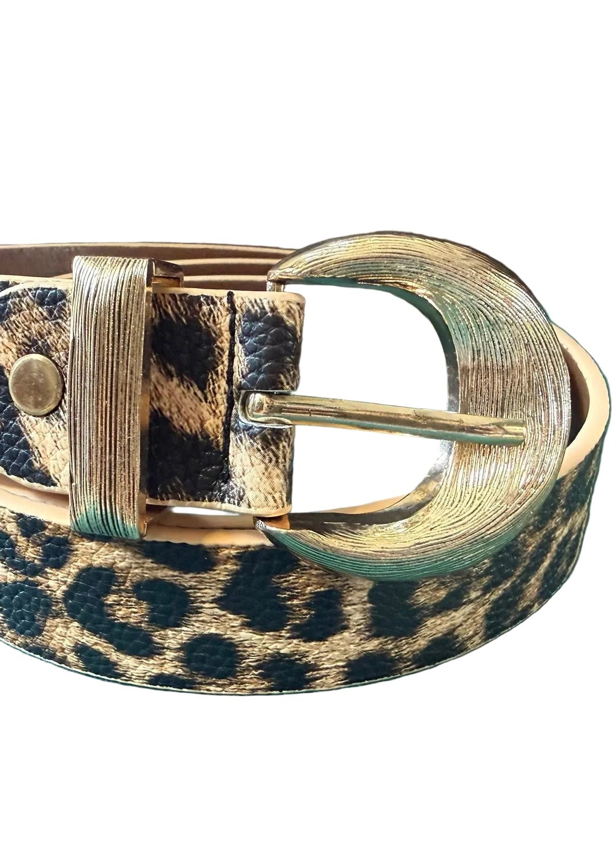 Leopard print belt with a gold buckle on a white background