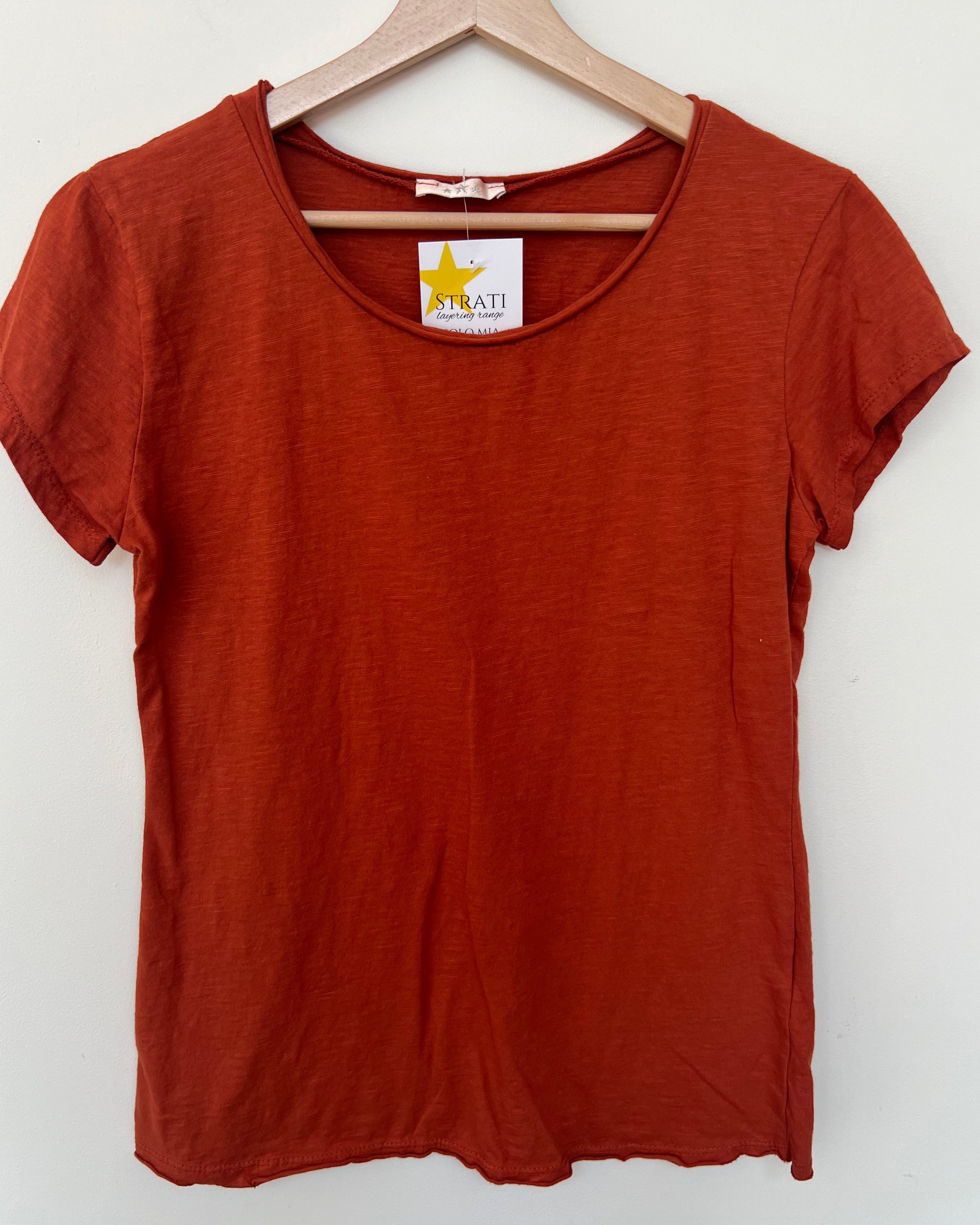 Red t-shirt on a hanger with a visible brand label against a white background