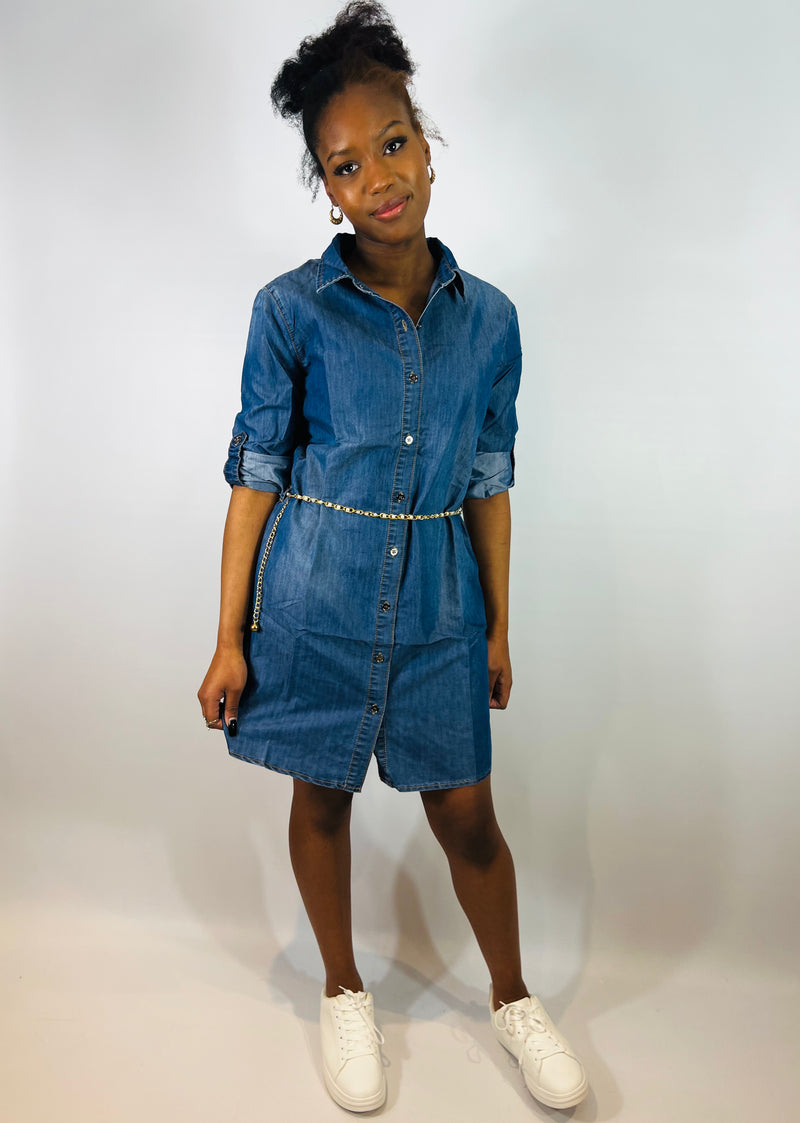 Nisha Shirt Dress