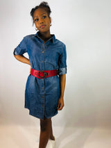 Nisha Shirt Dress