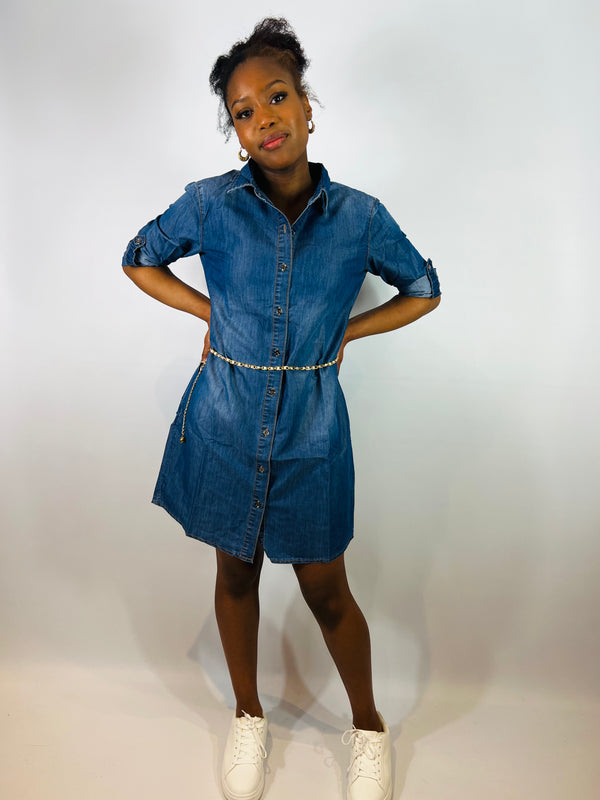 Nisha Shirt Dress